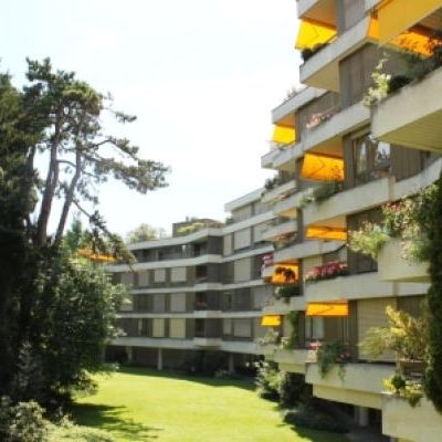 Grossbasel MFH Hirzbodenpark (Gellert) - Foto 1