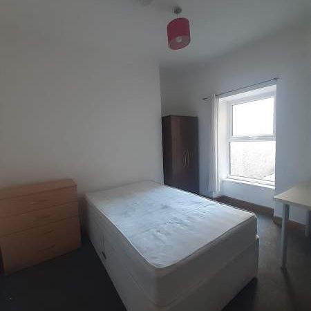 Double Room, Victoria Terrace, Brynmill *Students & Professionals* - Photo 1