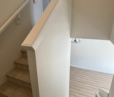 *BRANDE NEW* 3 Bedroom Upper Unit in Brighton - Photo 3