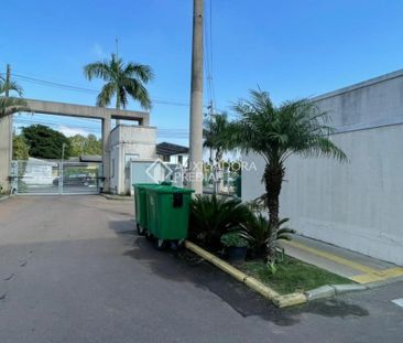 Apartamento com 2 quartos e 39m² para alugar em São Luiz, Gravataí. - Foto 3