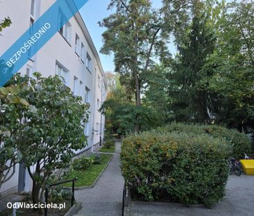 Warszawa, Żoliborz, Suzina – zdjęcie 6