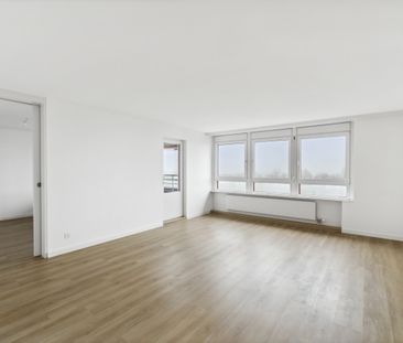 Pour les célibataires dans le développement de Liebrüti - Photo 2