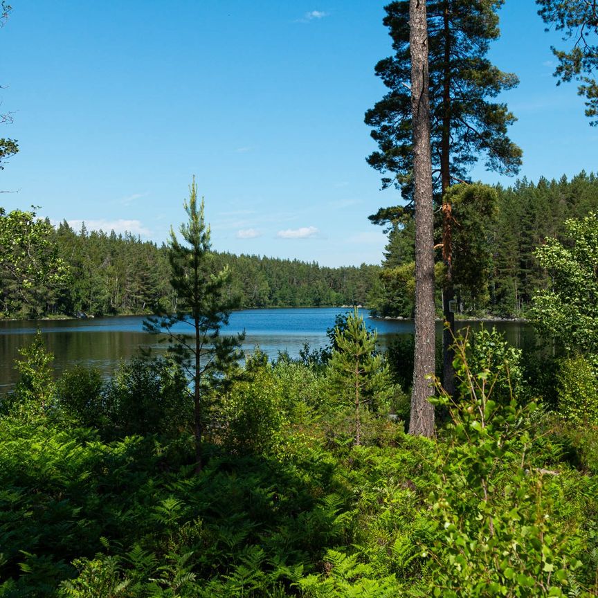 Skolgatan 7 A - Photo 1