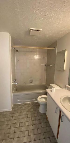 GRAND ET LUMINEUX 4.5 DISPONIBLE 1er FÉVRIER 2025 - Photo 1