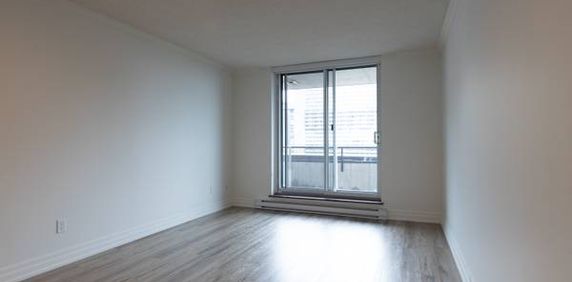 Spacious 2-Bed Apartment in Downtown Ottawa – Available Now! - Photo 2