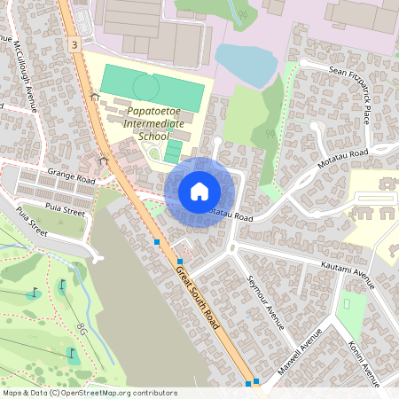 171 Motatau Road, Papatoetoe, Auckland