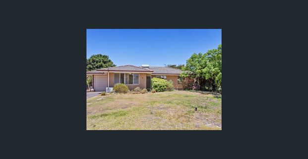 Wilson Gem! - Photo 1