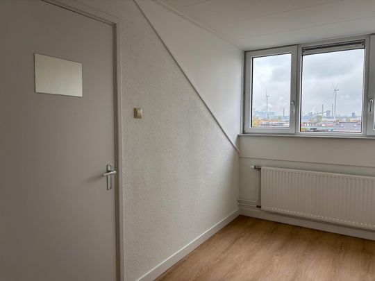 Plein 1945 41 - Photo 1