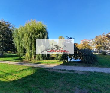 Mieszkanie | Wynajem - Фото 6