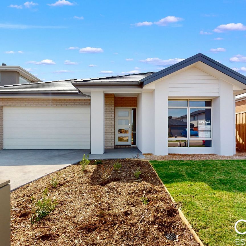 47 Contata Grove, Junction Village - Photo 1