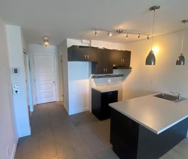 1 CH - 1 SDB - Montréal - $1,195 /mo - Photo 4