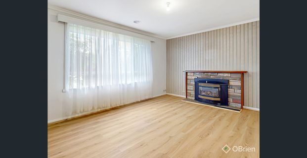 10/10 for 10 Laemmle! - Photo 1