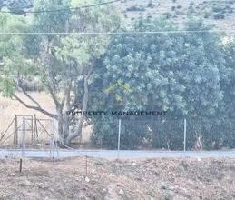 Μεζονέτα για ενοικίαση - Γλυφάδα - Photo 5