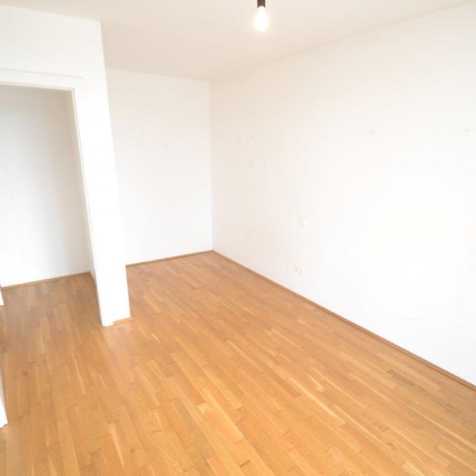 Liebenau – 52m² – 3 Zimmer Wohnung – großer westseitiger Balkon - Foto 1