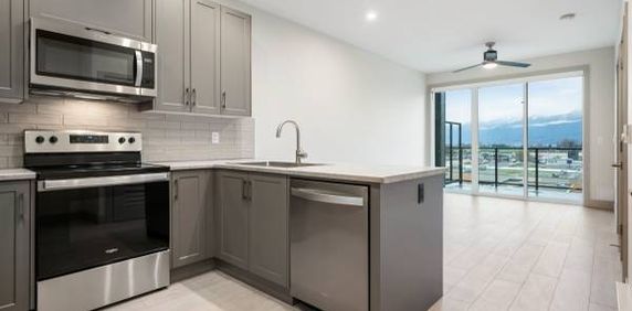 UNIT 1614 VANTAGE! BRAND NEW UNITS. 1 bedroom, 1 bathroom + den. - Photo 2