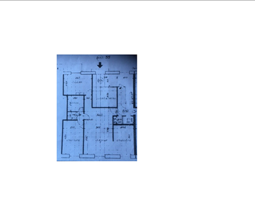 3 pièces - 60 m² - RDC - Colocation non autorisée - Photo 2