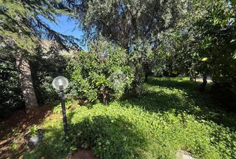 Villa singola in affitto