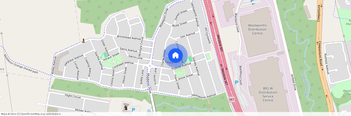 13 Treacy Avenue, NSW 2171, Middleton Grange