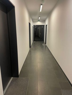 Poznań, Sołacz, Sokoła - Photo 1