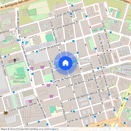 Carrer Pintor Joan Baptista Porcar, Valencia, Valencian Community 46019