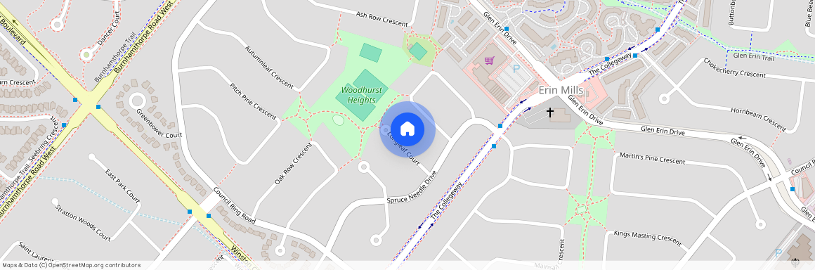 3467 Longleaf Court Unit# Main, Mississauga