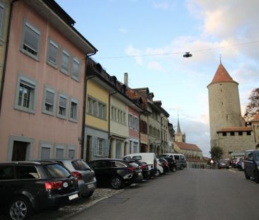 Très beau logement de 38 m2 rénové au printemps 2020 - Photo 3