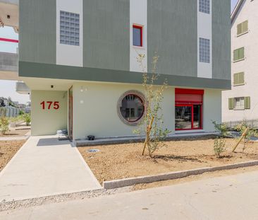 Regensbergstrasse 175 - Foto 2