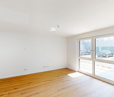 Modernes Wohnkonzept: 3-Zimmer-Erdgeschosswohnung mit EBK und Terrasse - Foto 2