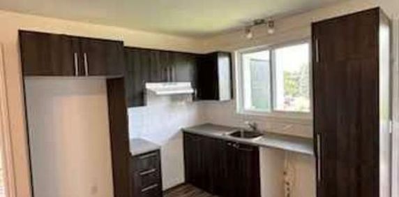 1mois gratuit 5 1/2 avec petit salon et cuisine aire ouverte - Photo 2