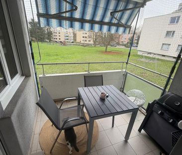 Saules 1, Colombier - Photo 5