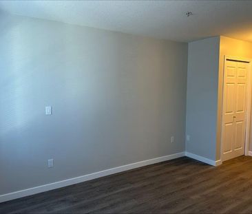 The Paterson Large Bright 2 Bedroom/2 Bath - Photo 4