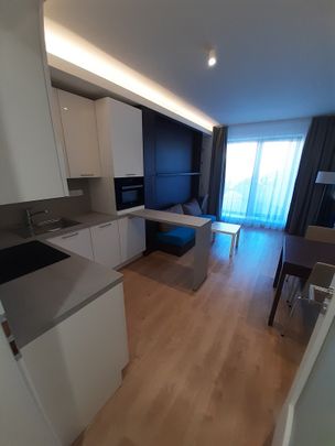 Pronájem bytu 1+kk 30 m² - Photo 1