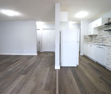 Modern and Spacious 2-Bedroom Apartment - SMALL PET FRIENDLY! - Photo 3