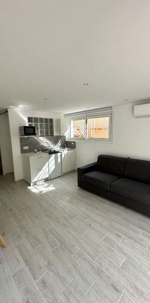 Location Appartement 1 pièce 23m² - Photo 1