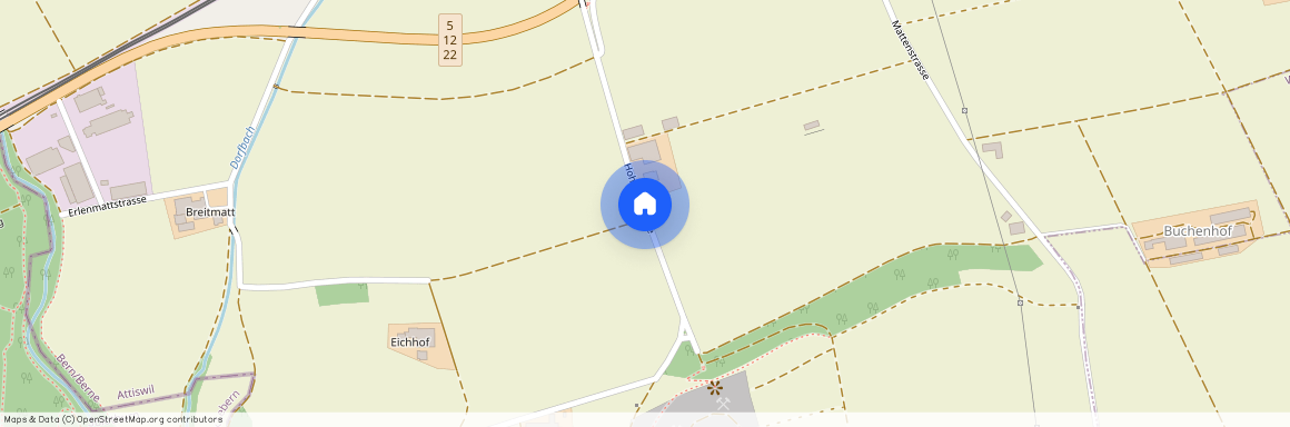 4536, Attiswil, Hohbühlstrasse