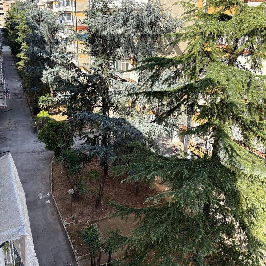Appartamento - Bari - Foto 1