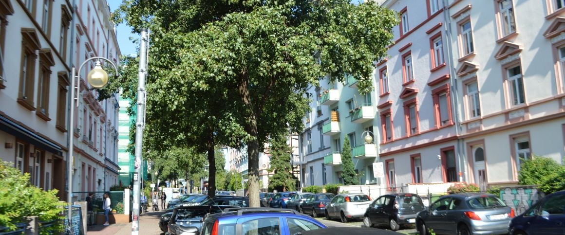 City-Residence: Nordend: moderne 2.-Zi.Wohnung nahe Berger Straße - Foto 1