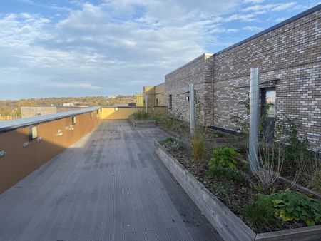 Alpini Road, London - Photo 4