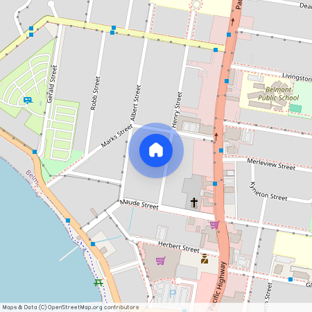 45 Henry Street, NSW 2280, Belmont