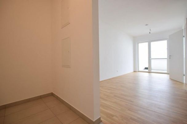 COPACABANA – Kalsdorf – Erstbezug – 36m² – 2 Zimmer Wohnung – Balkon und Parkplatz - Photo 1