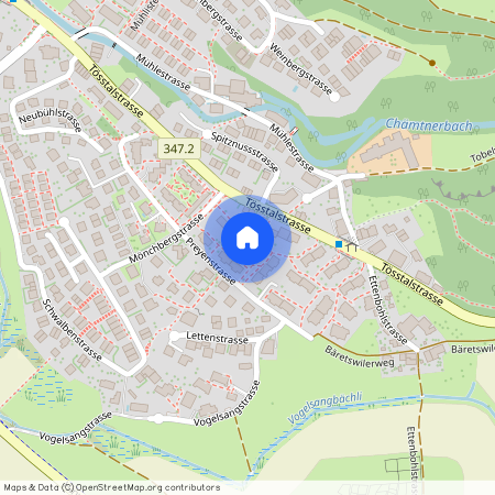 Mönchbergstr. 5, 8623, Wetzikon Zh