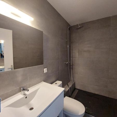 Location Appartement 1 pièce 20m² CLERMONT L HERAULT 34800 - Photo 4