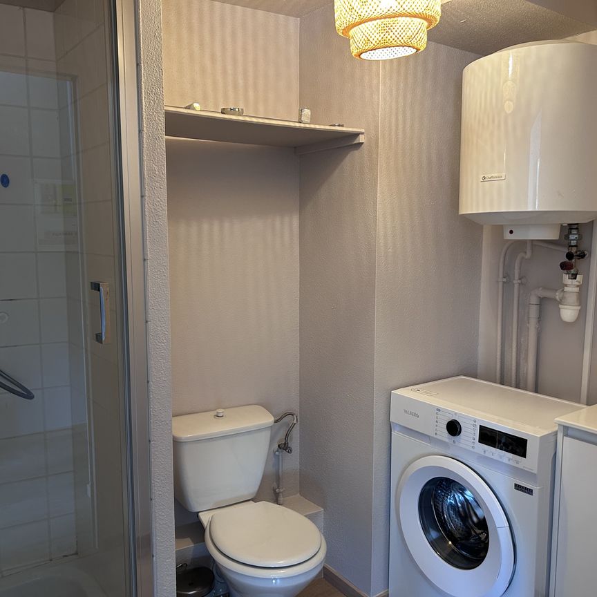 Location Appartement 1 pièce 22m² ILLZACH 68110 - Photo 1