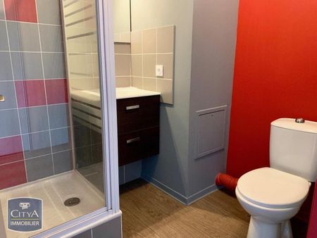 Location Appartement 1 pièce 19m² LIMONEST 69760 - Photo 4