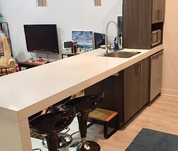 3 1/2 à louer - Plateau Mont-Royal - Photo 4