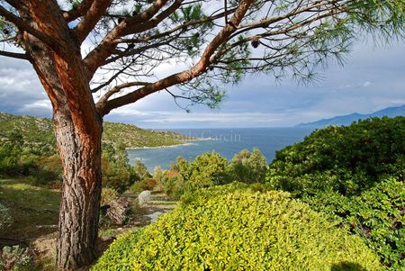 Propriété à louer en Corse - Saint Florent - Photo 5