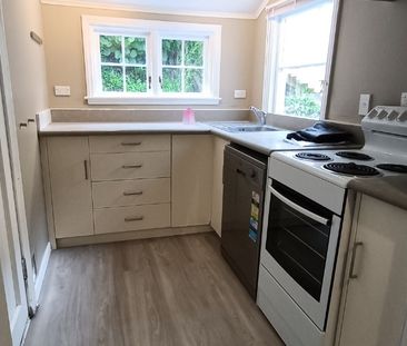 50 Norway Street, Aro Valley - Photo 4