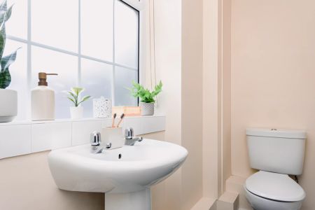 Extra Large Studio - Photo 5