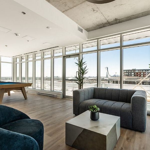 Mostra Maisonneuve apartments for rent in Montreal - Photo 1