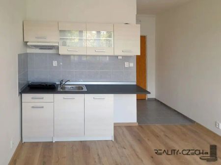 Pronájem, Byty, Garsoniéra, 20 m - Fotografie 3